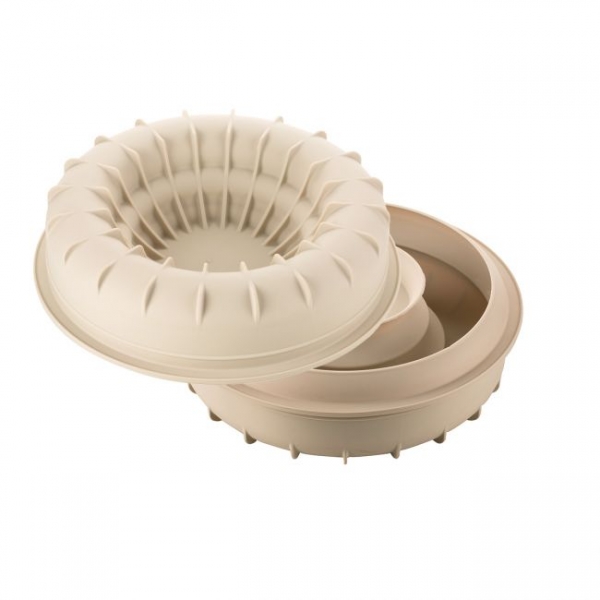 3D Silicon Mould - Arena